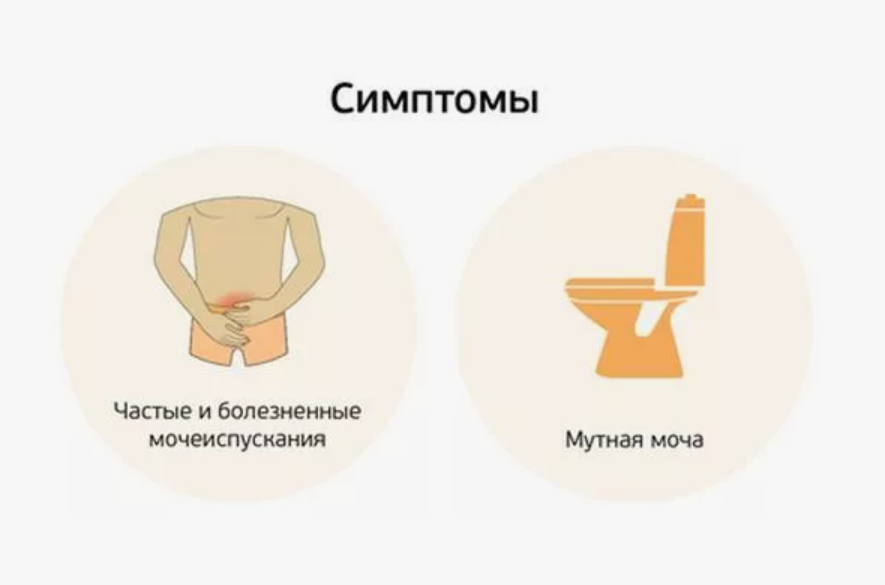 Arzt konsultiert Patient mit Prostatitis