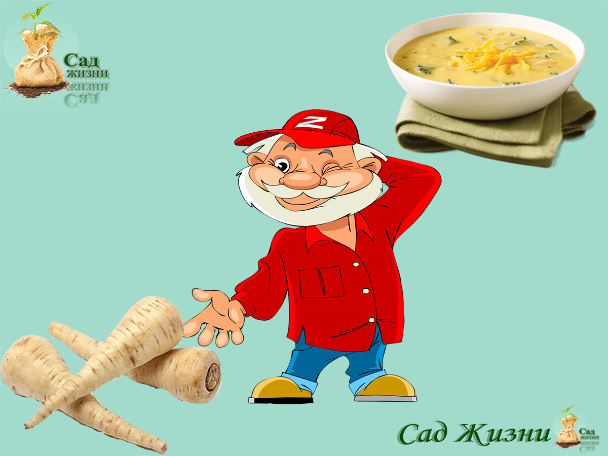 Pflege der Pastinakenpflanzen